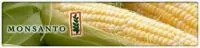 Семена кукурузы Monsanto DKC 2790