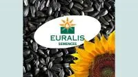 Семена подсолнечника производителя Евралис