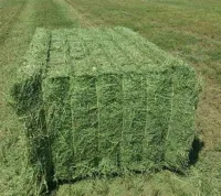 Organic alfalfa grass hay (pellets) for animal feed