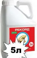 Протравитель Рекорд (Витавакс)